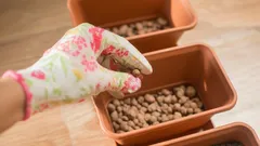 Durante anos, usou-se mal o argila expandida: eis para que serve realmente